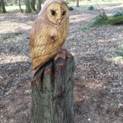 Carved Oak Owl
